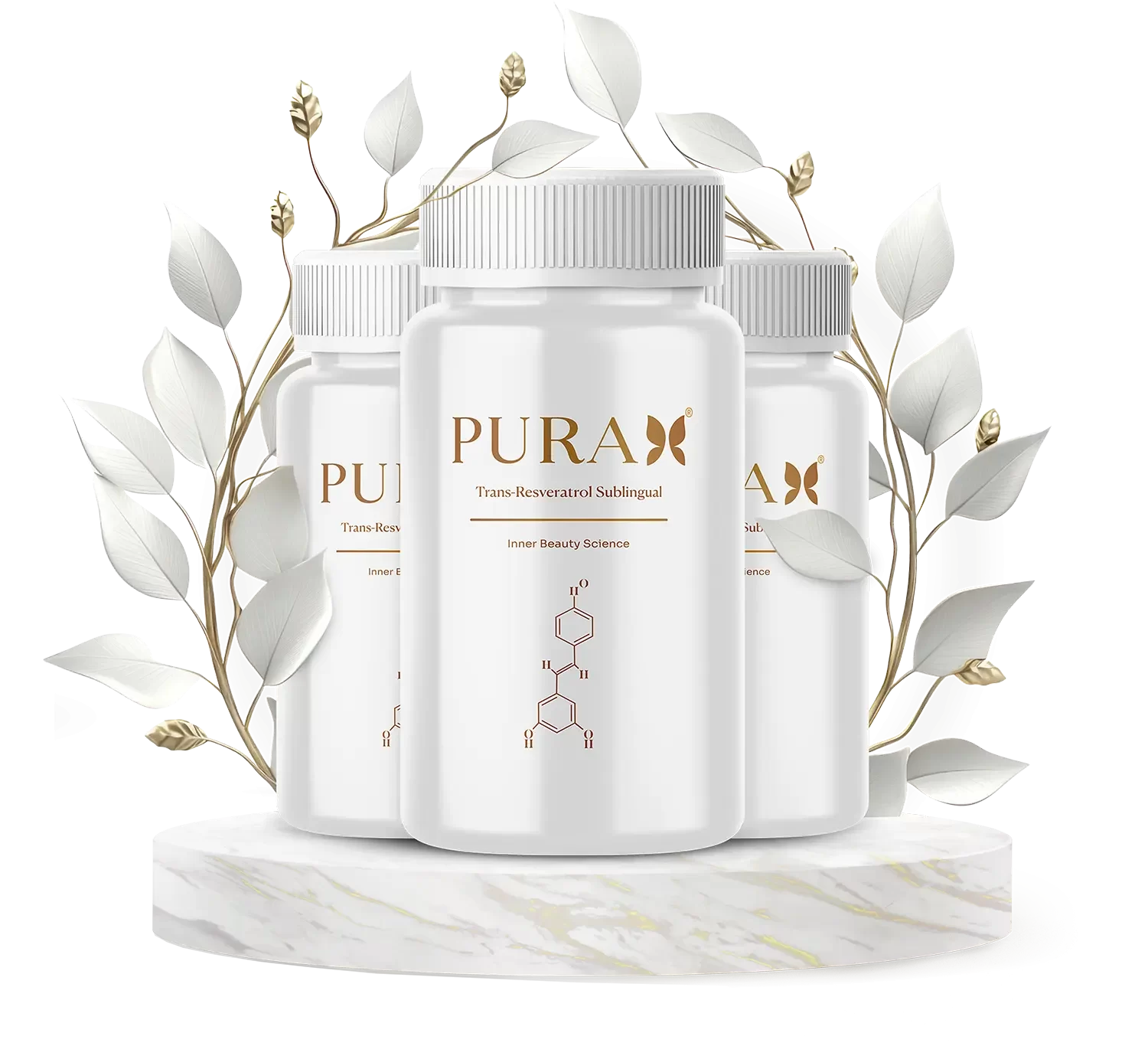 AnyConv.com__hero-celan-purah.webp